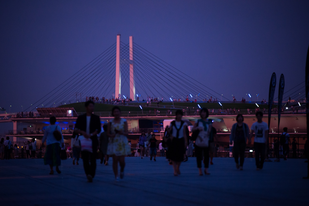 Osanbashi Pier (大さん橋)
