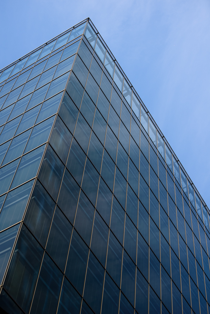 Peak of Toyosu Cubic Garden (豊洲キュービックガーデン)