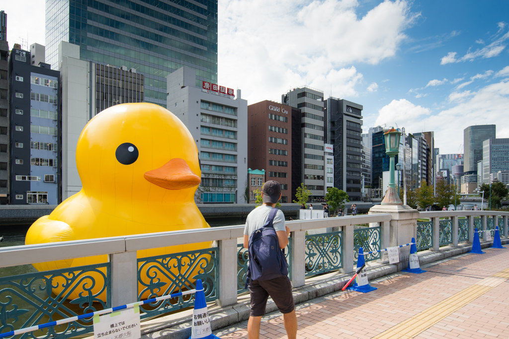 Rubber Duck in 2015 (ラバーダックはたき込み)
