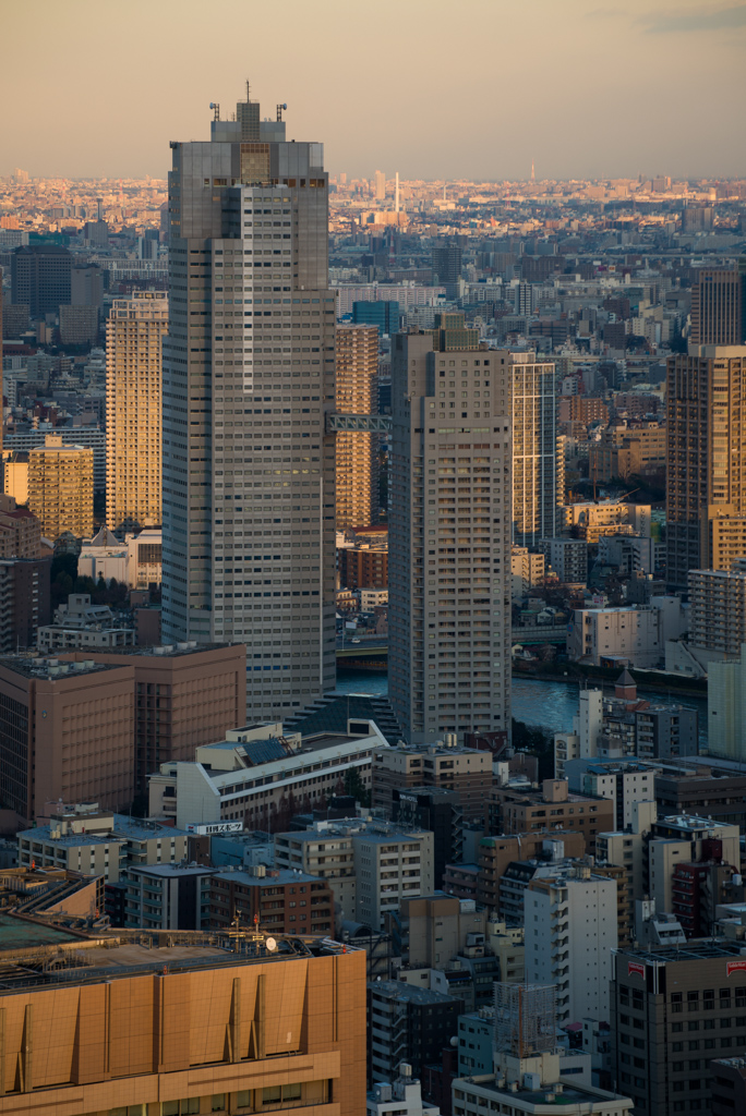 St.Luke's Garden in the evening (聖路加ガーデン)
