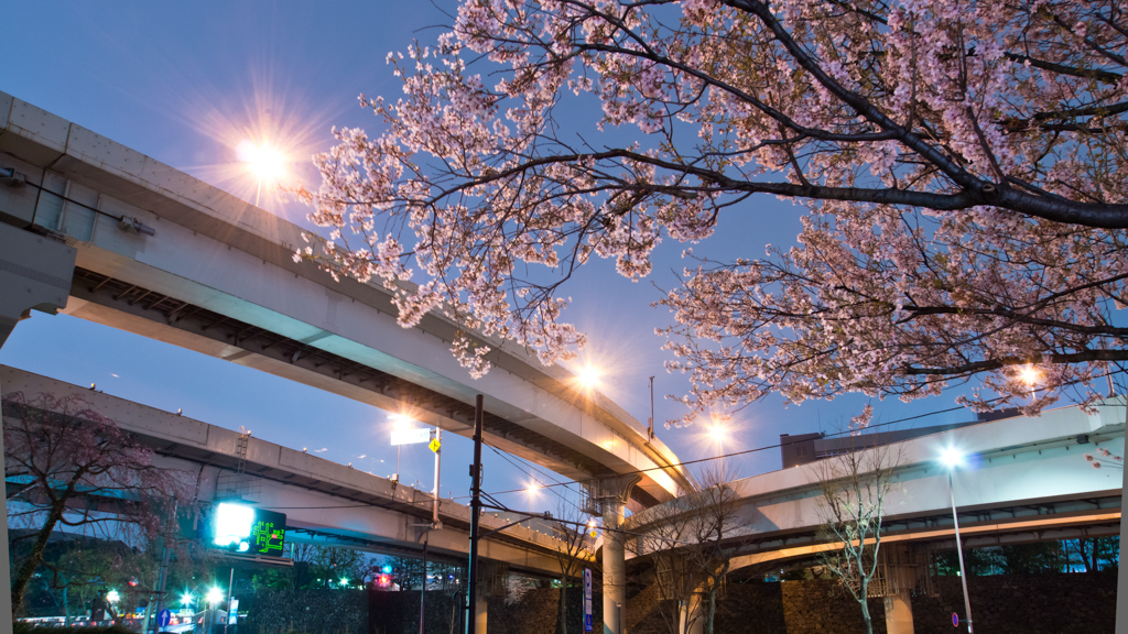 Takebashi Junction (竹橋JCT)