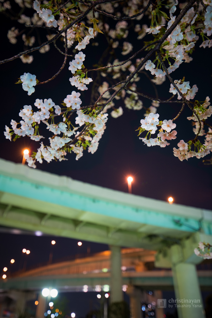 Tatsumi Junction in spring (辰巳ジャンクション)