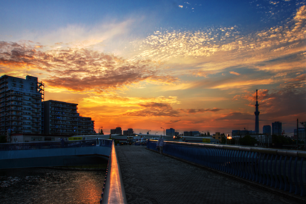 Tokyo Skytree (東京スカイツリー)