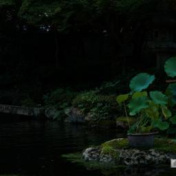 Exterior view of Old Mitsui Family Shimogamo Villa (旧三井家下鴨別邸)