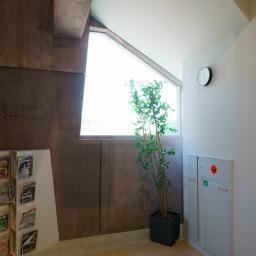 Indoor view of Matsubara City Library (読書の森)