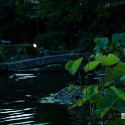 Exterior view of Old Mitsui Family Shimogamo Villa (旧三井家下鴨別邸)