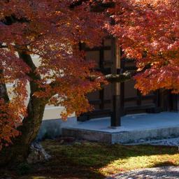 Exterior view of Tohjiin Temple (等持院)