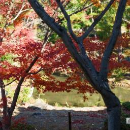 Exterior view of Tohjiin Temple (等持院)