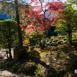 Exterior view of Tohjiin Temple (等持院)