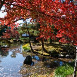 Exterior view of Tohjiin Temple (等持院)