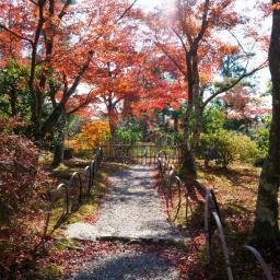 Exterior view of Tohjiin Temple (等持院)