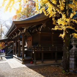 Exterior view of Kitano-Tenmangu Shrine (北野天満宮)