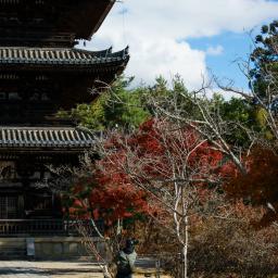 Exterior view of Ninnaji Temple, Pagoda (仁和寺　五重塔)