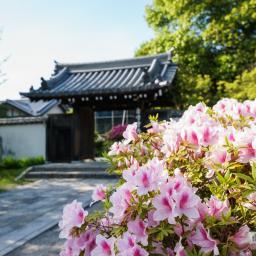 Exterior view of Yashimaji Temple (屋島寺)