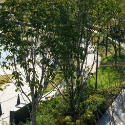 Exterior view of Grand Green Osaka (グラングリーン大阪)