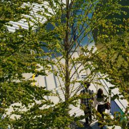 Exterior view of Grand Green Osaka (グラングリーン大阪)