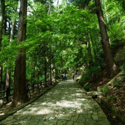 Exterior view of Rissyakuji Temple (宝珠山　阿所川院　立石寺)