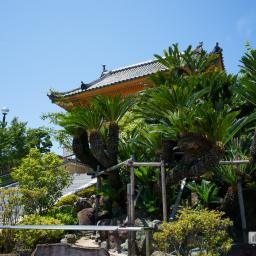 Exterior view of Sojiji Temple (総持寺)
