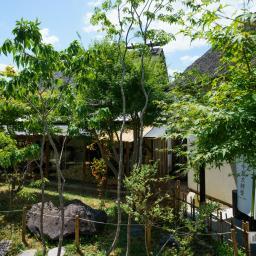 Exterior view of Nakajimataishodo (中島大祥堂　本店)