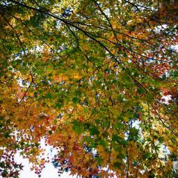 Exterior view of Tada Shrine (多田神社)