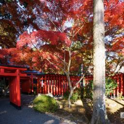 Exterior view of Tada Shrine (多田神社)