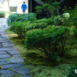Tea room Han-an (茶室「汎庵・万里庵」)