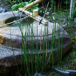 Tea room Han-an (茶室「汎庵・万里庵」)