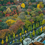 Aerial view of Koishikawa Korakuen Garden (小石川後楽園)