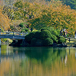 Gyoen reflection (新宿御苑景観)