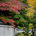 Outermost outworks of Koishikawa Korakuen Garden (小石川後楽園外郭)
